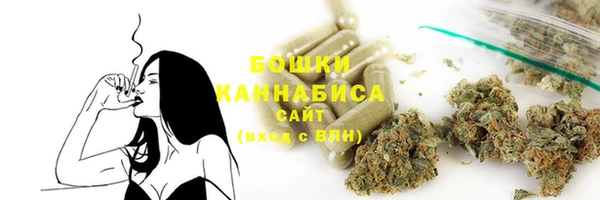 дмт Лагань