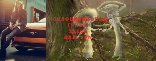дмт Лагань