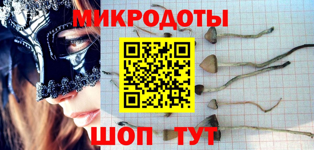 Псилоцибиновые грибы мицелий Тихвин