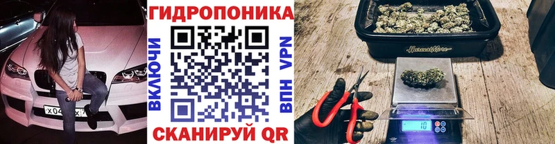купить закладку Тихвин Шишки марихуана MAZAR